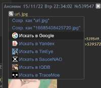 531x464