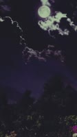 540x960