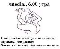 541x440