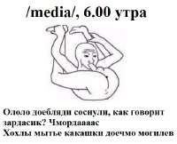 541x440
