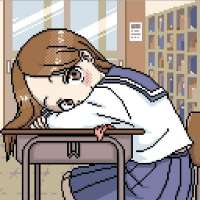 736x736