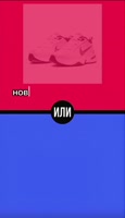 576x994