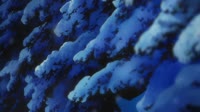 1022x576