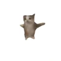 360x360