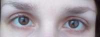 1200x445
