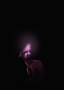 1429x2000
