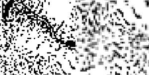 1078x544