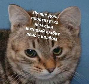 720x677