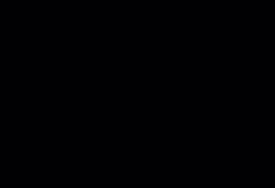 524x360