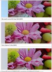 563x774