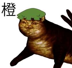 607x572