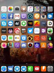 1536x2048