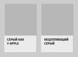 502x366