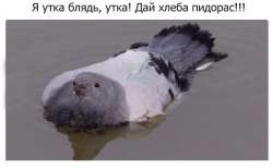 582x360
