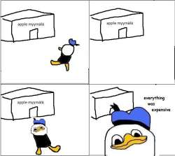 500x446