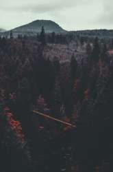 1272x1920