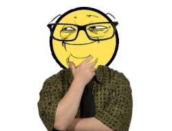 396x303