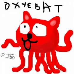 300x300