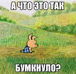 492x480
