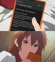 538x604