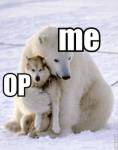 20