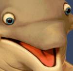 148