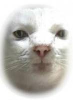 353