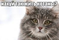 76
