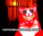 70