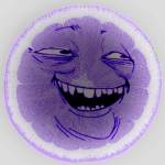 167