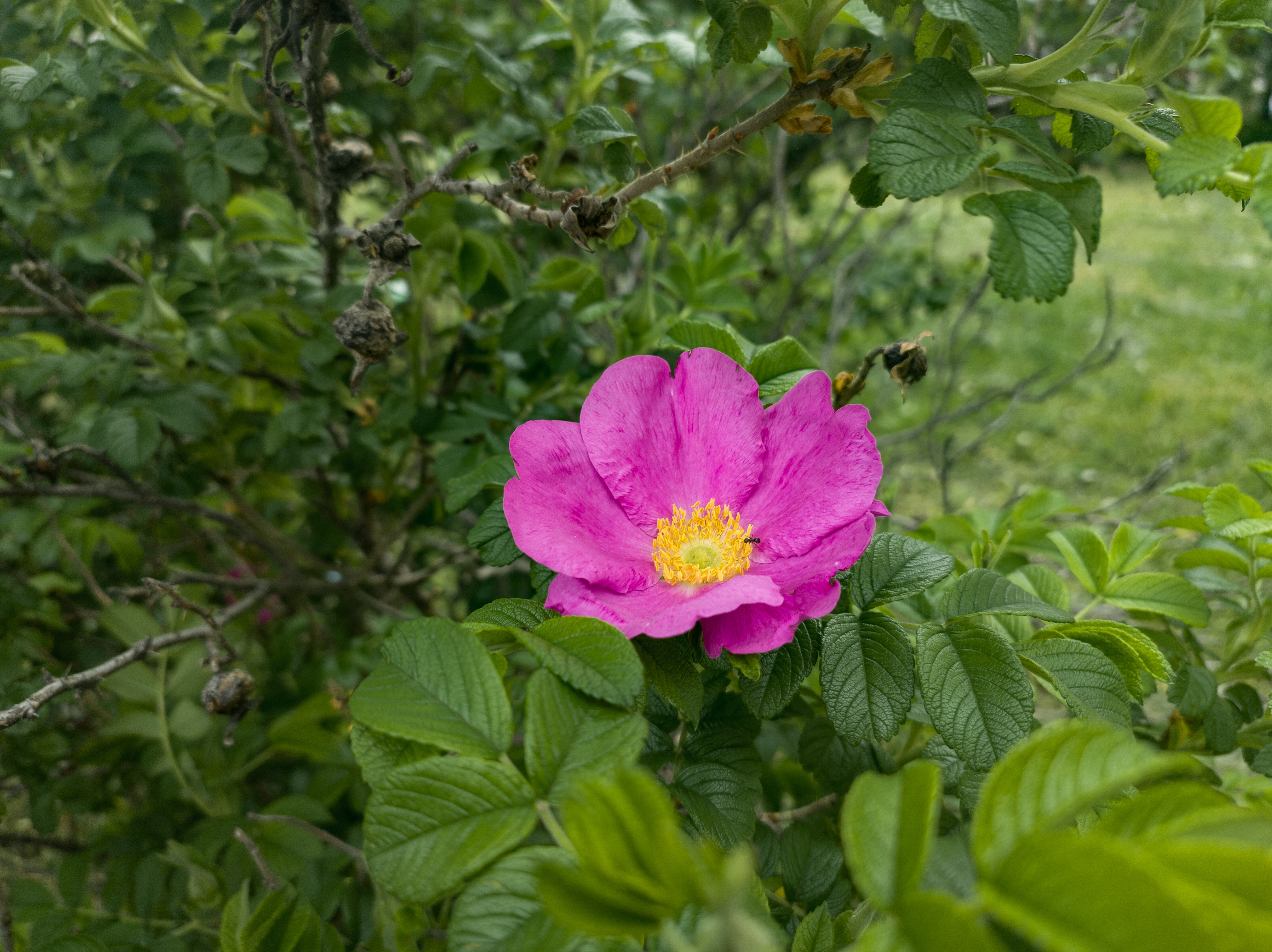 3984x2984