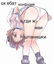 517x604