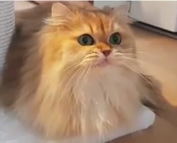 360x292