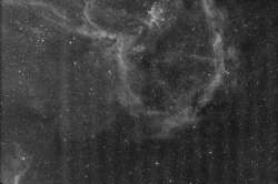 1216x808