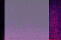 430x285