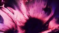 2560x1440