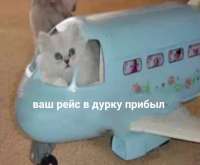 1080x891