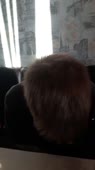 406x720