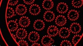 1920x1080
