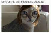 500x358