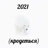 800x800