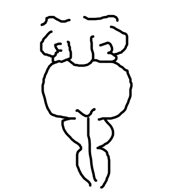 400x400