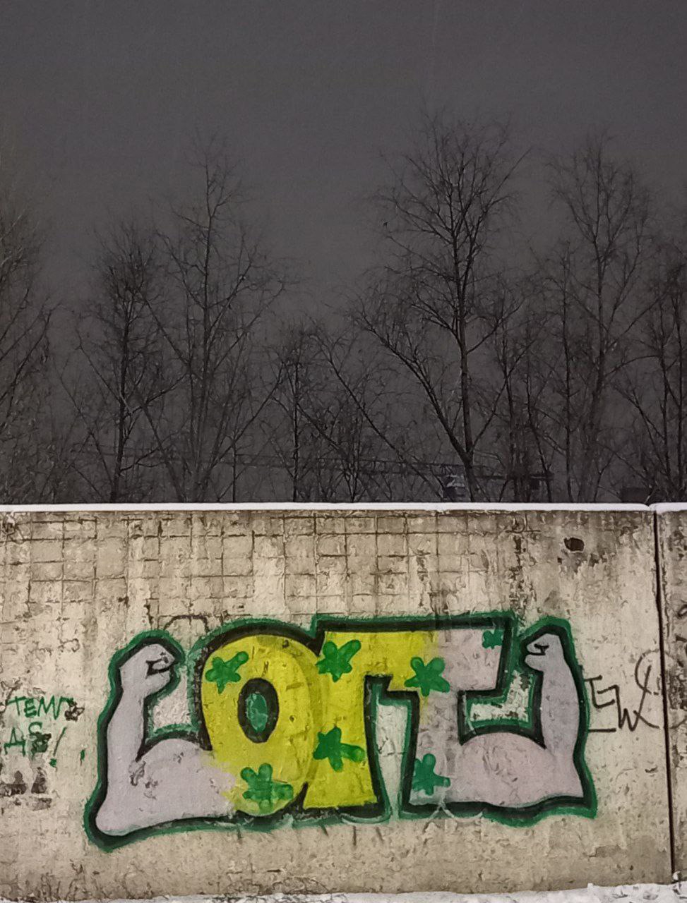 973x1280
