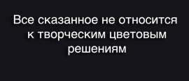 1328x580