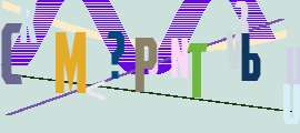 270x120