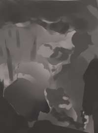 369x500