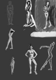 566x800