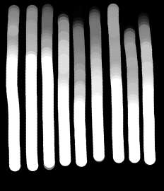 1000x1159