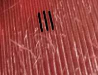 1002x773