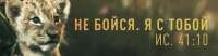 672x175